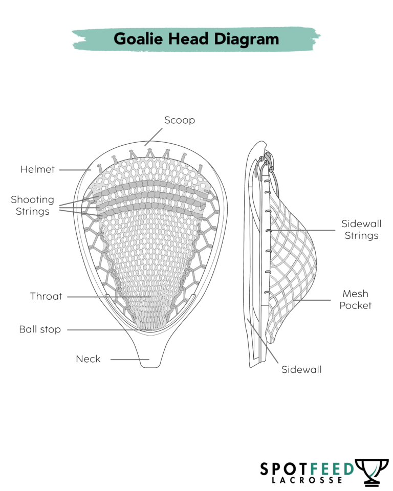 Lacrosse heads for goalies