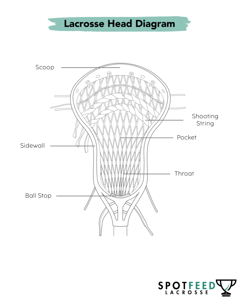 Lacrosse head diagram